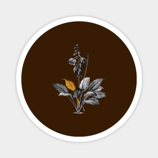 Black and Gold Leaf - Daylily - Vintage Botanical Magnet